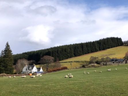 Countryside near Inverness, Scotland